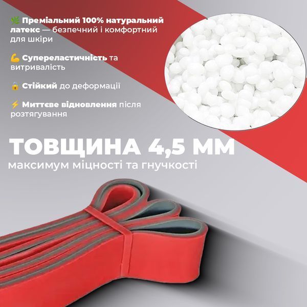 Еспандер-петля (гумка для фітнесу і кроссфіту) PowerPlay 4116 Double Colors Червоно/Сіра (14-39 кг) PP_4116_Red_(14-39 kg) фото