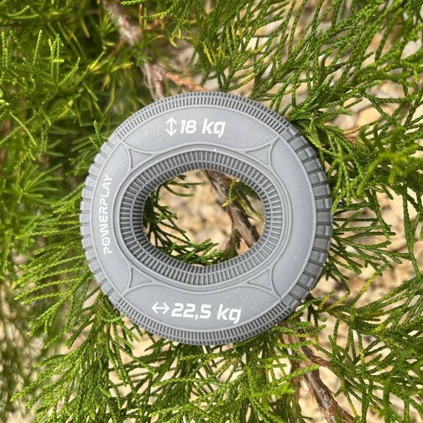 Еспандер кистьовий силіконовий PowerPlay PP-4330 Hand Grip Loops Medium 18-22,5 кг. Сірий PP_4330_Grey_(18-22.5kg) фото