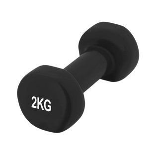 Гантель вінілова PowerPlay 4125 Achilles 2 кг. Чорна (1шт.) PP_4125_2kg фото