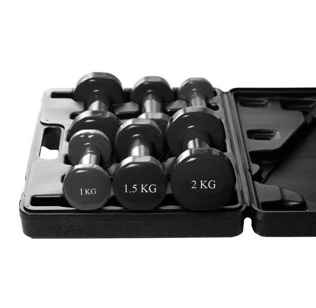 Набір гантелей в кейсі 9 кг. PowerPlay 4121 Fitness Dumbells (2шт.*1кг. 2шт.*1,5кг. 2шт.*2кг.) PP_4121_9kg фото