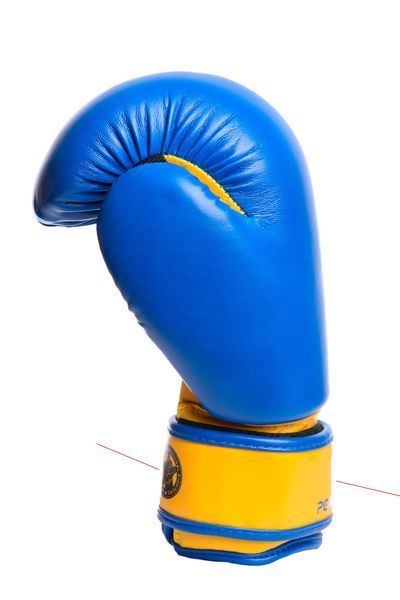 Боксерські рукавиці PowerPlay 3004 JR Classic Синьо-Жовті 8 унцій PP_3004JR_8oz_Blue/Yellow фото