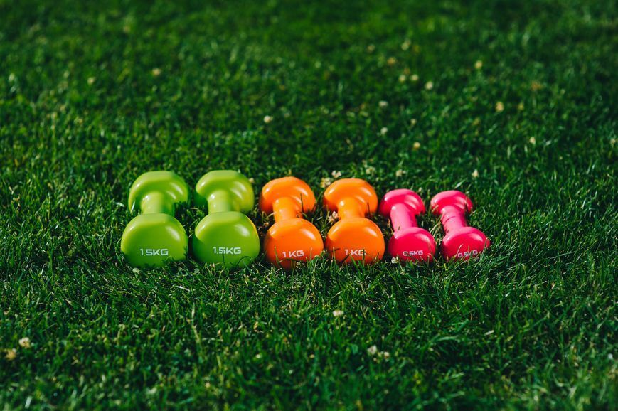 Набір гантелей в кейсі 6 кг. PowerPlay 4103 Fitness Dumbells (2шт.*0,5кг. 2шт.*1кг. 2шт.*1,5кг.) PP_4103_6kg фото