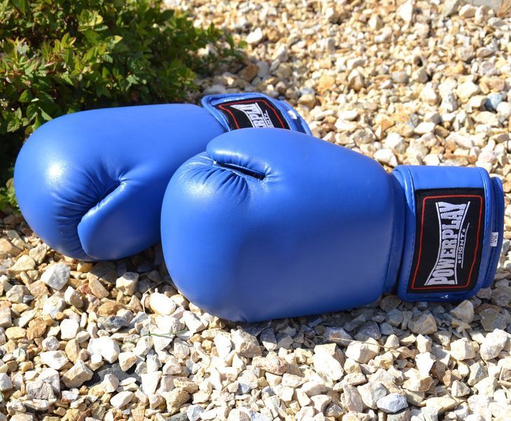 Боксерські рукавиці PowerPlay 3004 Classic Сині 14 унцій PP_3004_14oz_Blue фото